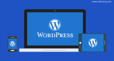 Reasons Why Every Small Business Needs a WordPress Website