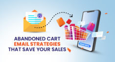 Abandoned Cart Email Strategies