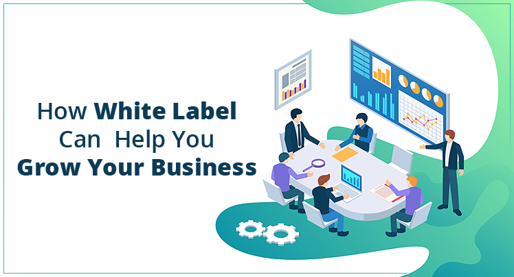 White Label Shopify Development