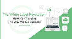Full Service Digital Solutions Agency, White Label Agency